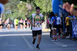 tortugas @tar.mx