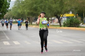 tortugas @tar.mx