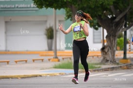 tortugas @tar.mx