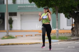 tortugas @tar.mx