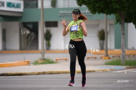 tortugas @tar.mx