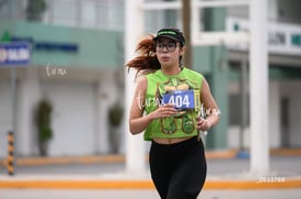 tortugas @tar.mx