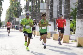 tortugas @tar.mx
