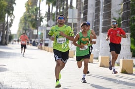 tortugas @tar.mx