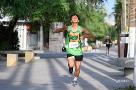 tortugas @tar.mx