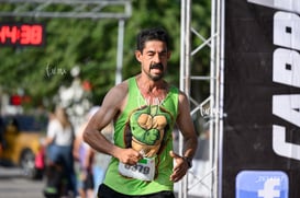 tortugas @tar.mx