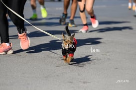 Carrera Artec 21K 12K 5K @tar.mx