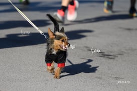 Carrera Artec 21K 12K 5K @tar.mx