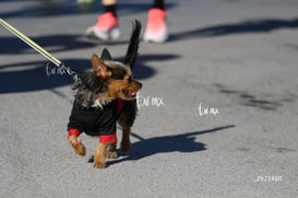 Carrera Artec 21K 12K 5K @tar.mx