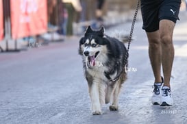 Carrera Artec 21K 12K 5K @tar.mx