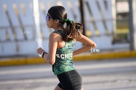 veloz @tar.mx