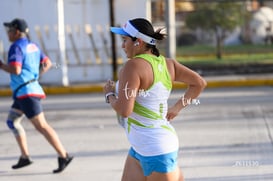 halcones @tar.mx