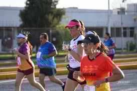 aba @tar.mx