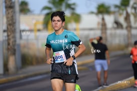 halcones @tar.mx