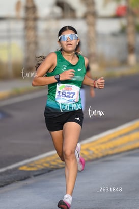 veloz @tar.mx