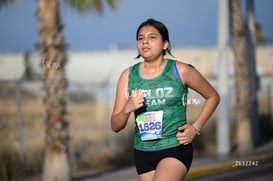 veloz @tar.mx