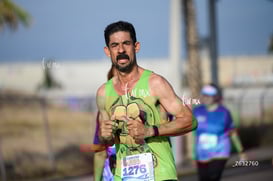 tortugas @tar.mx