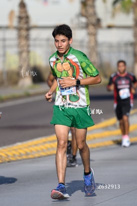 tortugas @tar.mx