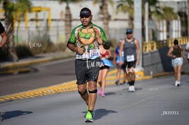 tortugas @tar.mx