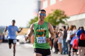 tortugas @tar.mx