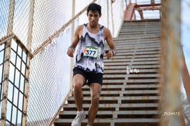 Carrera Moderna Sport Adidas 2025 @tar.mx