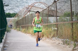 tortugas @tar.mx