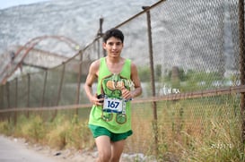 tortugas @tar.mx