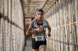 Carrera Moderna Sport Adidas 2025 @tar.mx