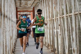 veloz, tortugas @tar.mx