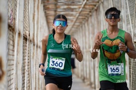 veloz, tortugas @tar.mx
