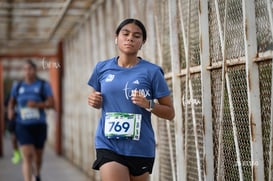 Carrera Moderna Sport Adidas 2025 @tar.mx