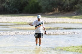 ducks @tar.mx