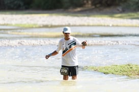 ducks @tar.mx