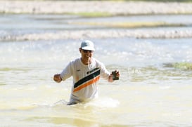 ducks @tar.mx