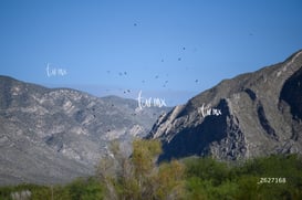 El Cruce, sexta edición 12K y 25K @tar.mx