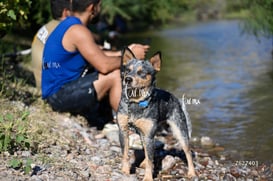 El Cruce, sexta edición 12K y 25K @tar.mx