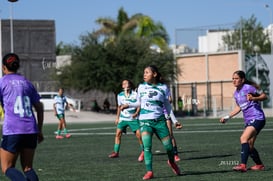 Mereli Zapata @tar.mx
