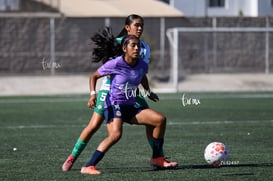 Santos Laguna vs Chivas femenil S19 @tar.mx