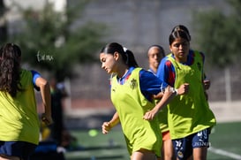 Santos Laguna vs Chivas femenil S19 @tar.mx