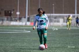 Mereli Zapata @tar.mx