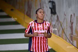 Santos Laguna vs Chivas Guadalajara @tar.mx