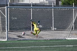 Santos Laguna vs Club Tijuana femenil S19 @tar.mx