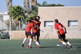 Santos Laguna vs Club Tijuana femenil S19 @tar.mx