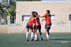 Santos Laguna vs Club Tijuana femenil S19 @tar.mx