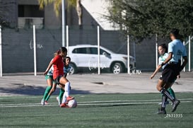 Santos Laguna vs Club Tijuana femenil S19 @tar.mx
