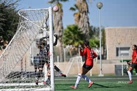 Santos Laguna vs Club Tijuana femenil S19 @tar.mx