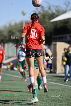 Ashley Rodríguez @tar.mx