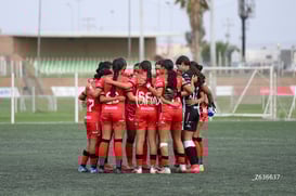 equipo Mazatlán @tar.mx