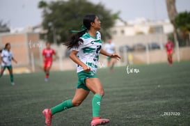 Estefanía Cisneros @tar.mx