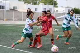Frida Dominguez, Ximena Ramírez @tar.mx